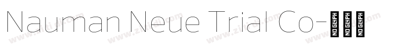 Nauman Neue Trial Co字体转换